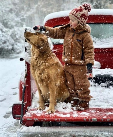 Christmas-Dog-and-Boy