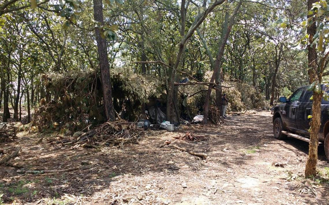 03 Campamento Tala 1