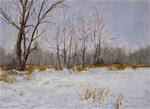 Farm to Canvas~  Still Quiet Cold - Posted on Wednesday, February 18, 2015 by Vincenza Harrity