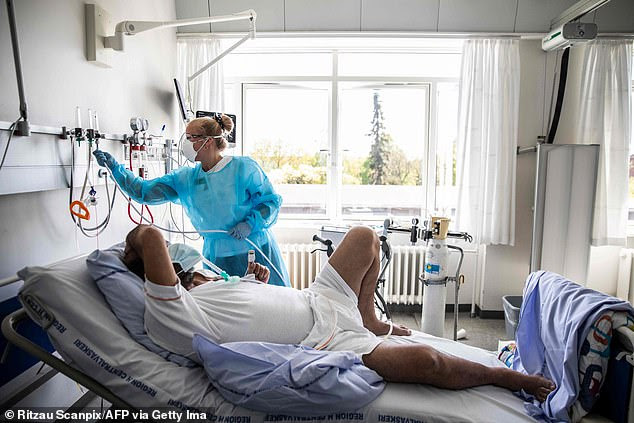 Testosterone plays a key role in regulating the body's immune response but when a person has low levels of testosterone, the immune system is not kept in check and can go haywire following infection. The ensuing 'cytokine storm' can be fatal. Pictured, a covid-19 infected patient works with a physical therapist at the lung medical unit at Bispebjerg Hospital in Copenhagen