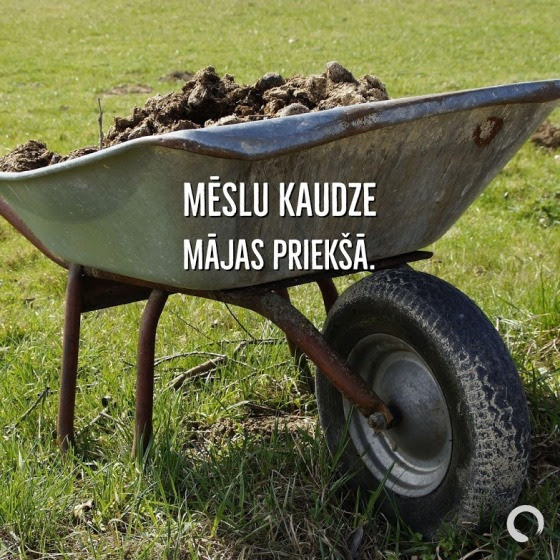 meslu kaudze
