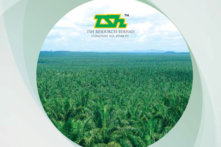 TSH Resources sells two Indonesian plantation units to KLK to pay debts