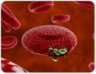 Researchers use body odor to diagnose malaria