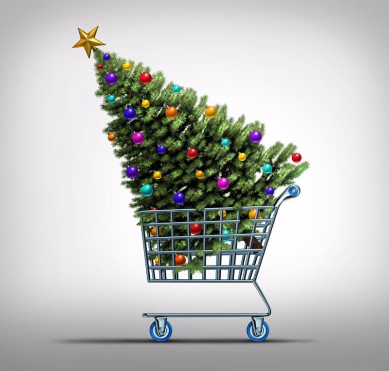 tree_in_cart.jpg