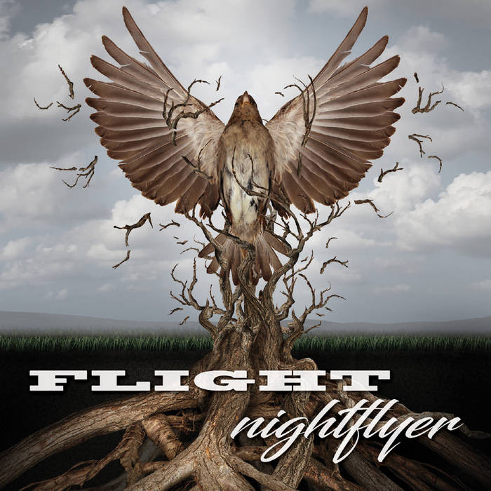 Flight Cover