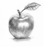 Apple Portrait - Posted on Tuesday, December 16, 2014 by William Heflin