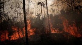 O que as queimadas na Amazônia têm a ver com a economia e por que as eras Dilma e Bolsonaro fogem à regra