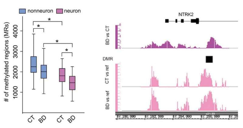 DNA methylation changes and characteristics in neurons of bipolar disorder patients