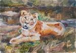 Lioness Study - Posted on Friday, April 10, 2015 by Carol DeMumbrum