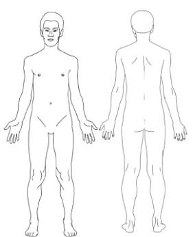 The quiz is based on a blank template of a human body on which the organs and muscles are marked