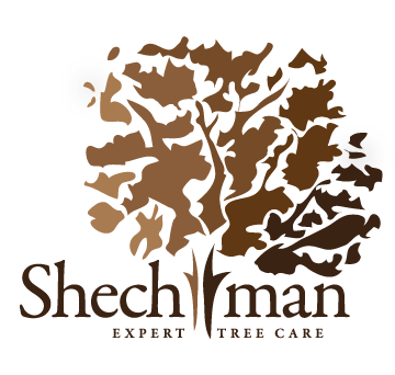 LOGO - Shechtman Tree Care 2016.png