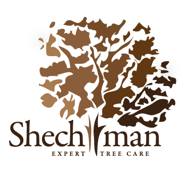 LOGO - Shechtman Tree Care 2016.png