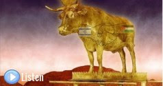 Gold Calf 2 State Solution - FB