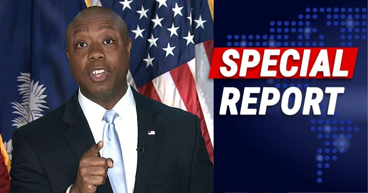 Senator Tim Scott Makes 2024 Waves - Even Trump Might Be Concerned Over New Report