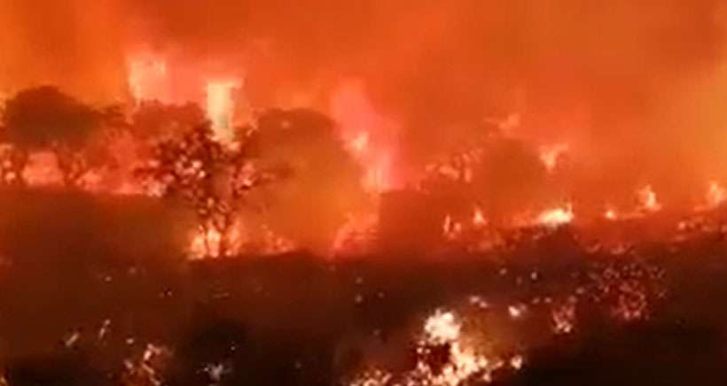 Vidéo : Le dramatique incendie qui a ravagé le Massif des Maures