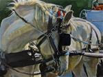 Carriage Horse - Posted on Saturday, November 15, 2014 by Taryn Day