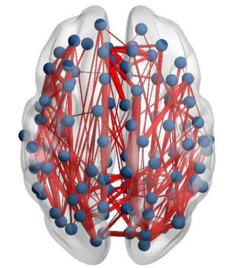 Scientists discover structure of adult brain – previously thought to be fixed - is changed by treatment