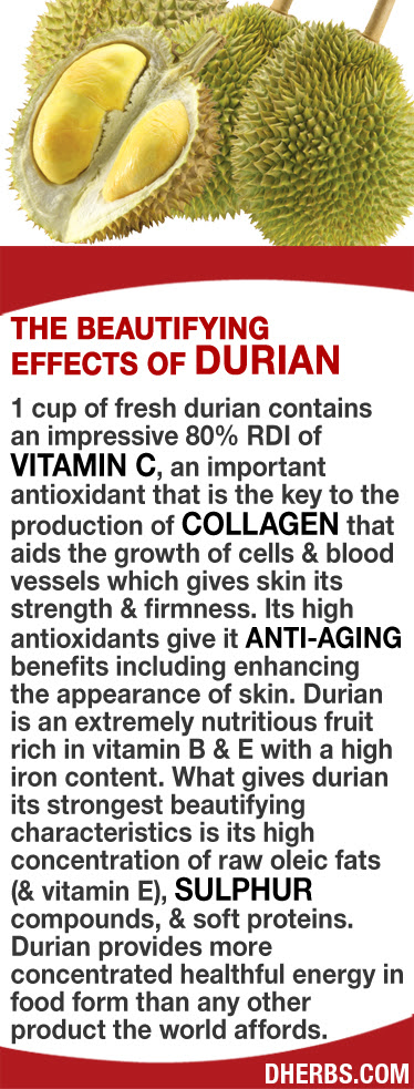 http://dherbs.com/pinterest/dherbs-ht-durian.jpg