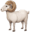 ๐