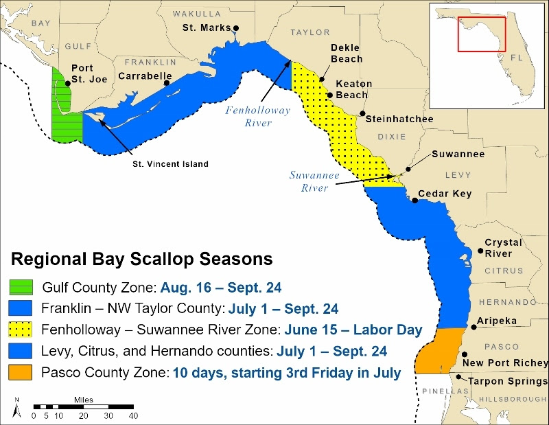 Scallop season map
