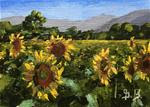 Sunflower Valley - Posted on Tuesday, March 24, 2015 by Gary Bruton