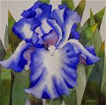 American Iris 6 - Posted on Tuesday, April 7, 2015 by Nel Jansen