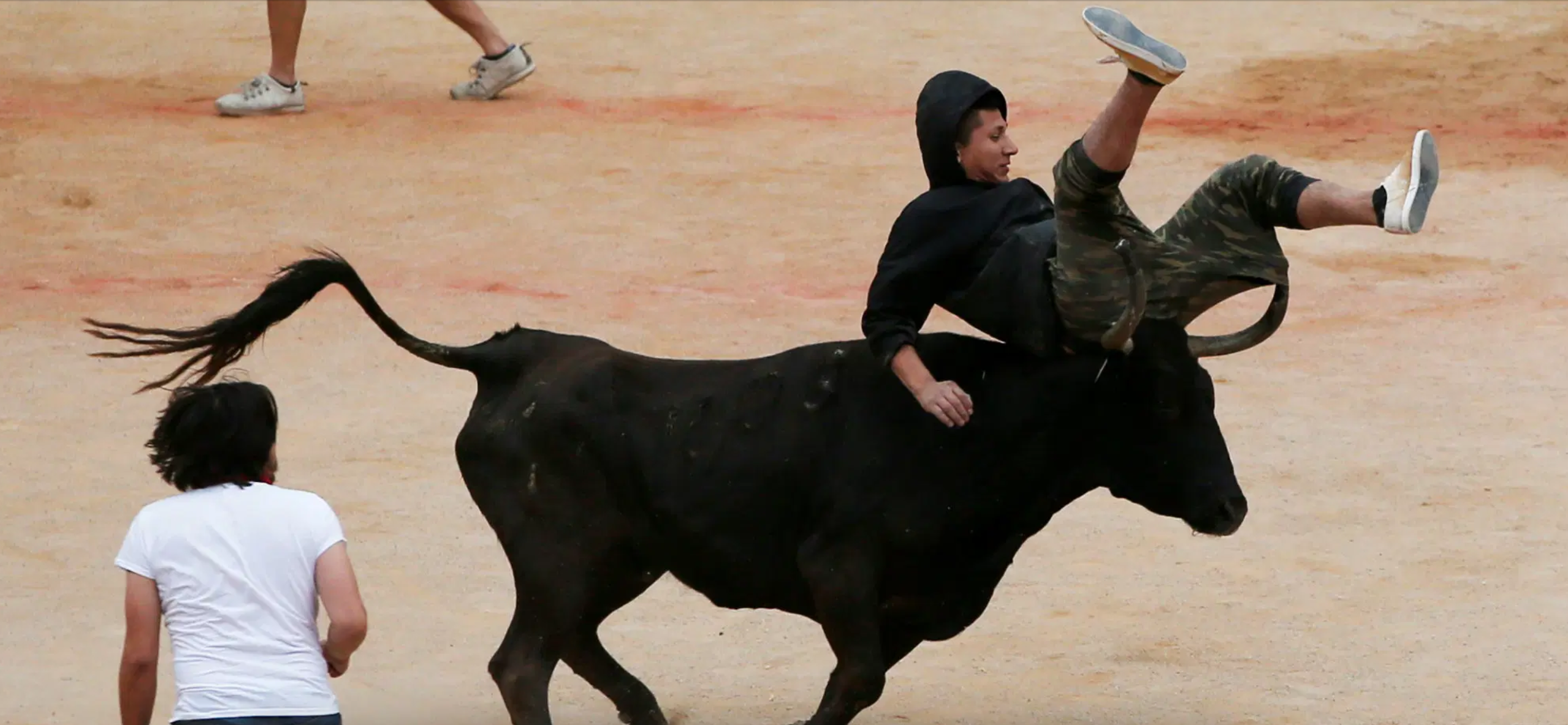 a person is thrown into the air by a bull