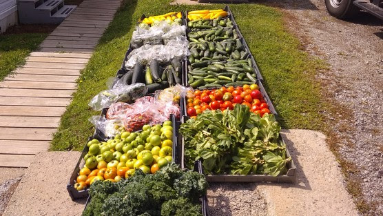 Veggies