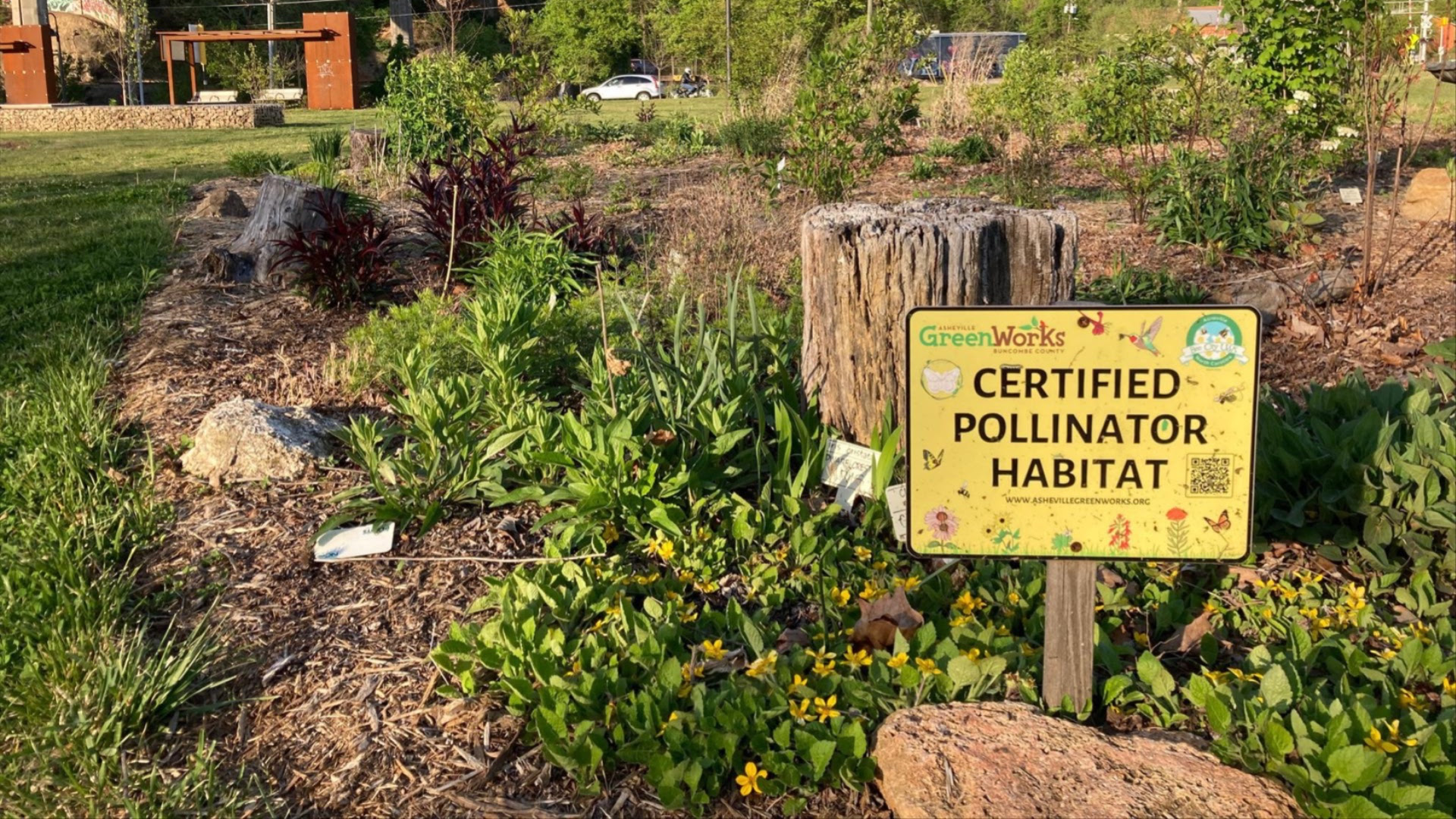 Pollinator Gardening 101 Getting Started with Pollinator-Protecting ...