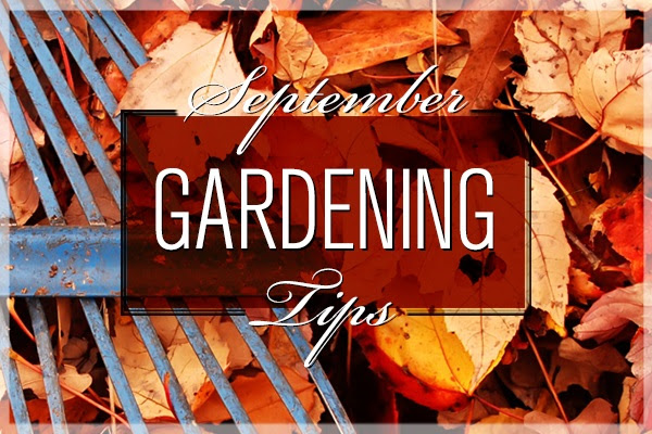 September Gardening Tips