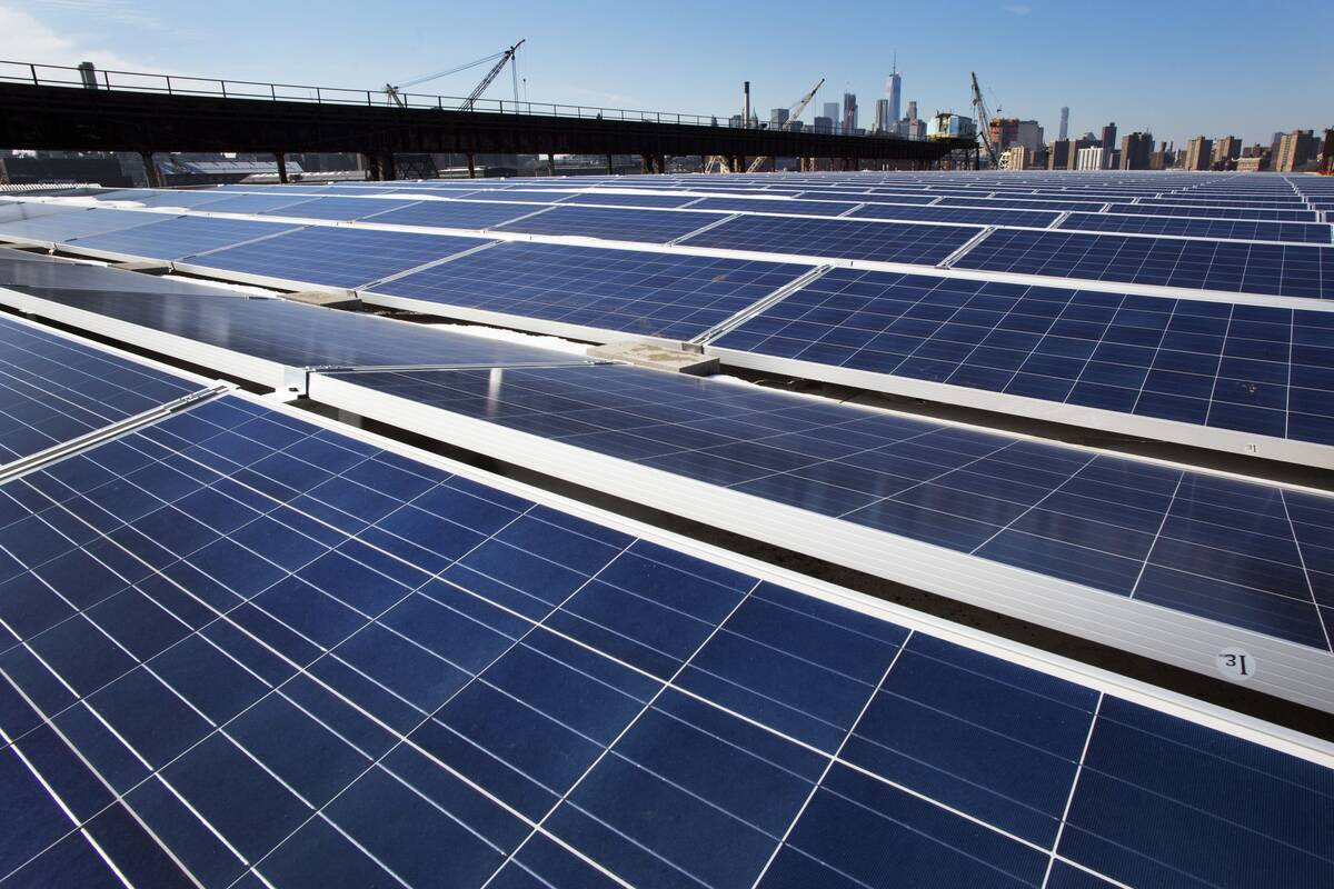 Rooftop solar panels at the Brooklyn Navy Yard in 2017. (Mark Lennihan/AP)