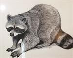 Raccoon - Posted on Tuesday, November 18, 2014 by Elaine Shortall