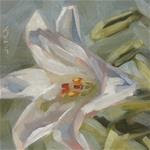 Study of an Easter Lily - Posted on Tuesday, April 14, 2015 by Elaine Juska Joseph