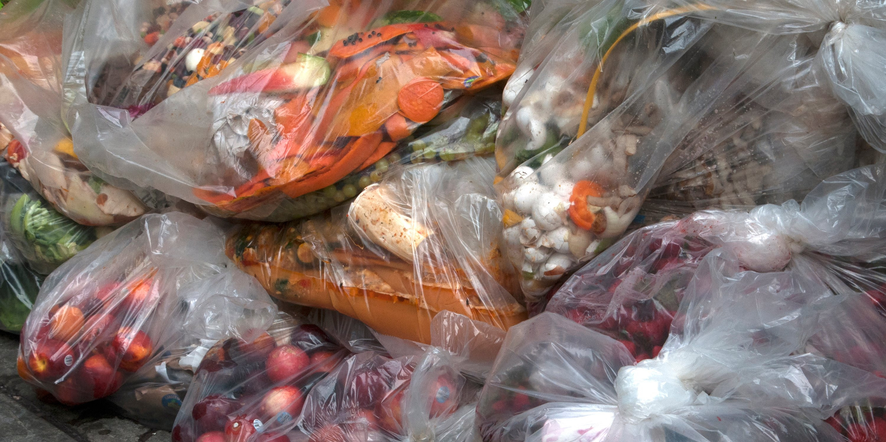 Bags of perfectly good produce discarded in the trash