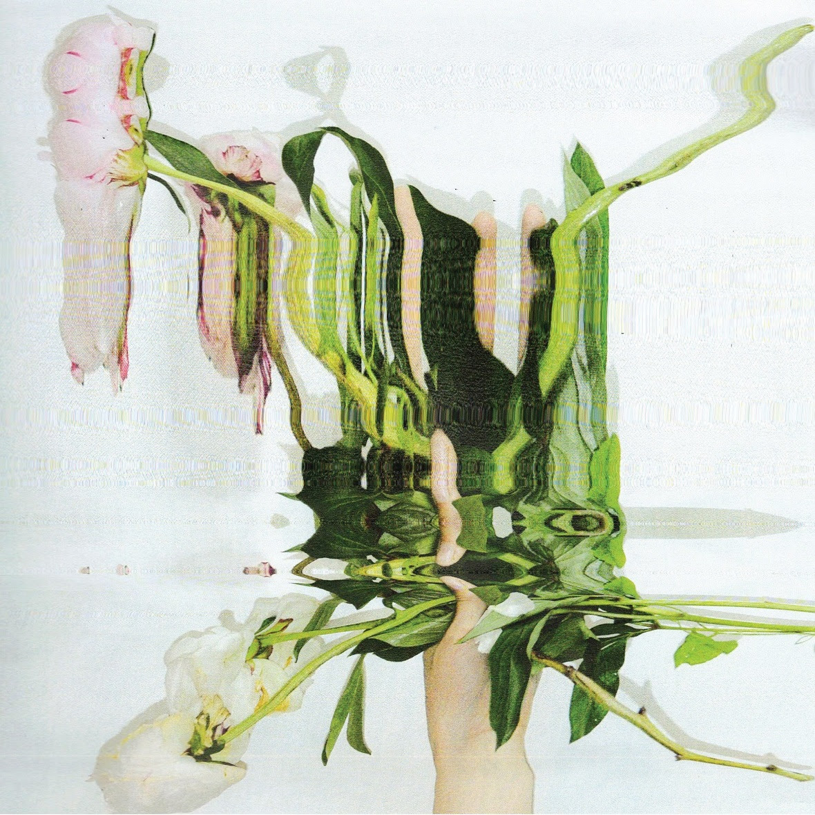 3 Hate Moss NaN Cover Digital