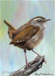 Wren ACEO - Posted on Wednesday, March 18, 2015 by Janet Graham