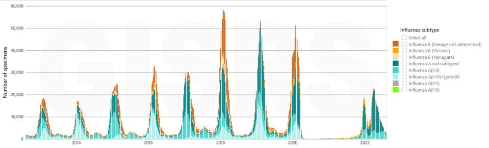 Graph of seasonal flu outbreaks, 2012 - 2022.