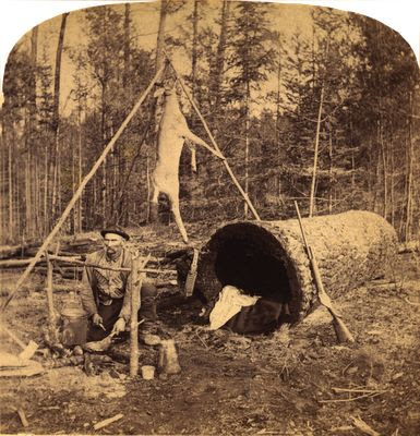 Deer Hunter Living In A Log , 1893.:
