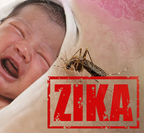 A baby, zika alert, and Aedes aegypti mosquito