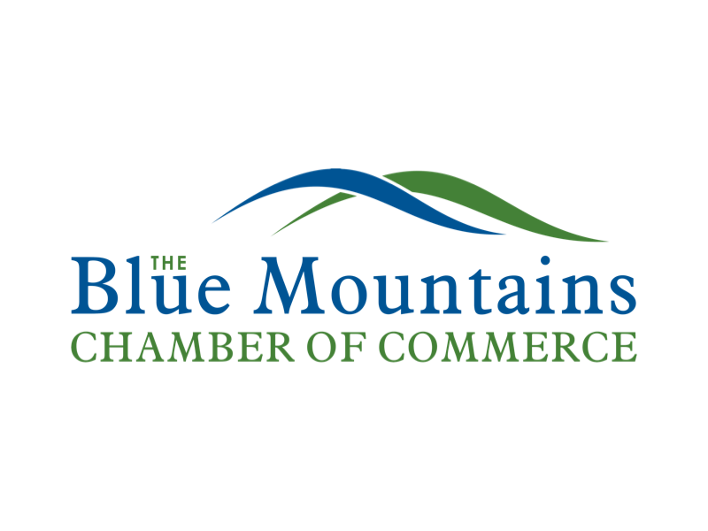 Watch Our All-Candidates Debate, Sept 29, 2022 - The Blue Mountains ...