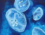 Moon Jellies - Posted on Wednesday, January 21, 2015 by Laura Wolf