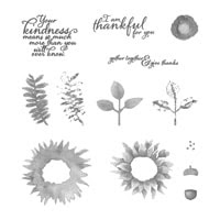Painted Harvest Photopolymer Stamp Set Painted Harvest Photopolymer Stamp Set