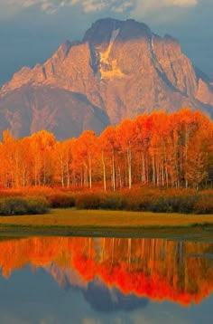 Autumn in the Grand Tetons, Jackson Hole, Wyoming