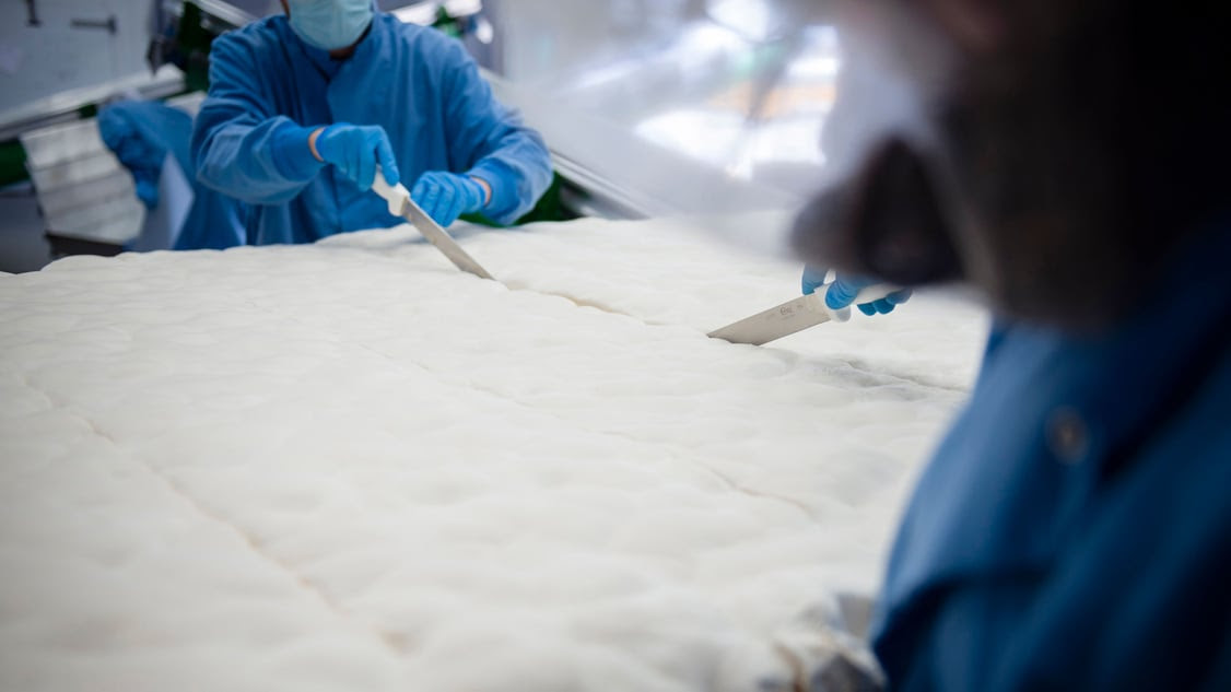 Cutting Air Mycelium at Ecovative