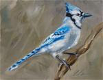 Bluejay of Happiness - Posted on Friday, January 2, 2015 by Clair Hartmann