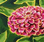 Zinnia - Posted on Monday, January 19, 2015 by Laura Wolf