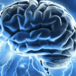 large brain electrical