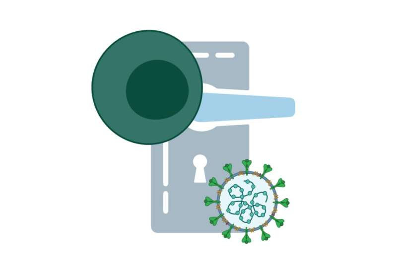 Artificial intelligence model predicts which key of the immune system opens the locks of coronavirus