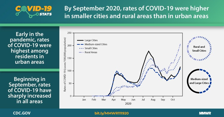 The figure is a graph showing rates of COVID-19 based on city size.