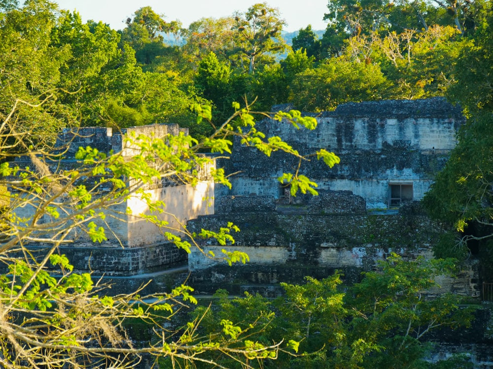 les ruines d’un bâtiment entouré d’arbres